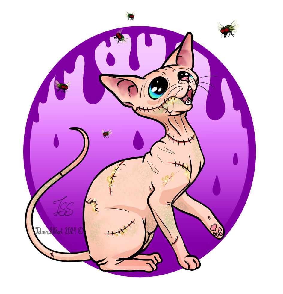 Halloween Sphynx cat